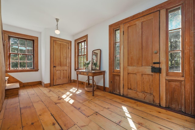 foyer entrance featuring light hardwood / wood-style flooring and a wealth of natural light