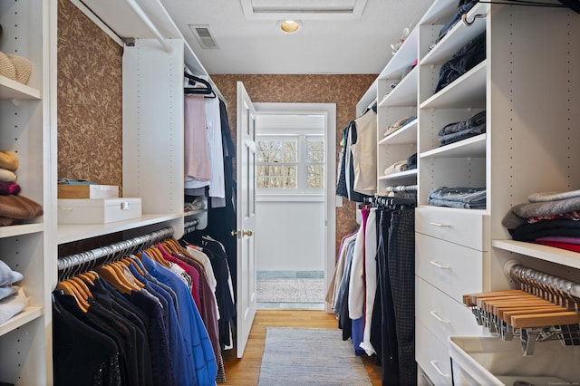 walk in closet featuring attic access, visible vents, and light wood-style flooring