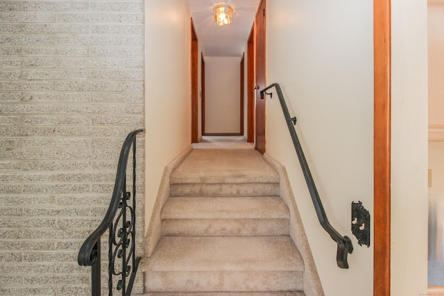 staircase with carpet floors