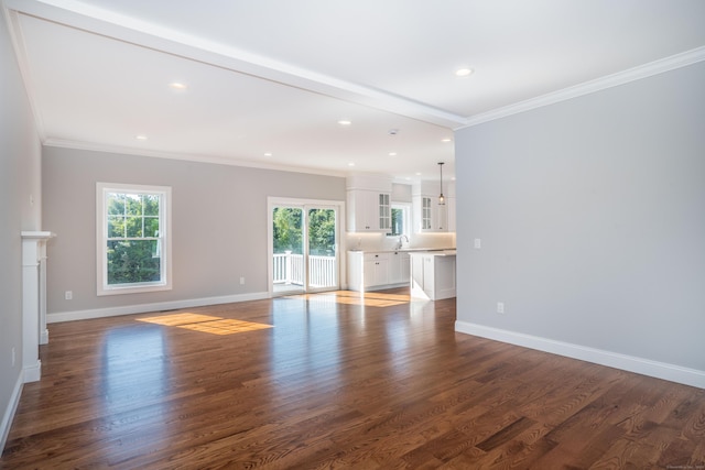 unfurnished living room with sink, dark wood-type flooring, and ornamental molding