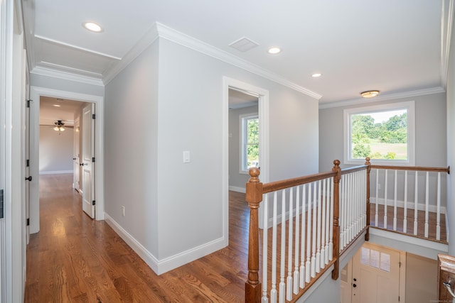 hallway featuring crown molding, hardwood / wood-style flooring, and a wealth of natural light