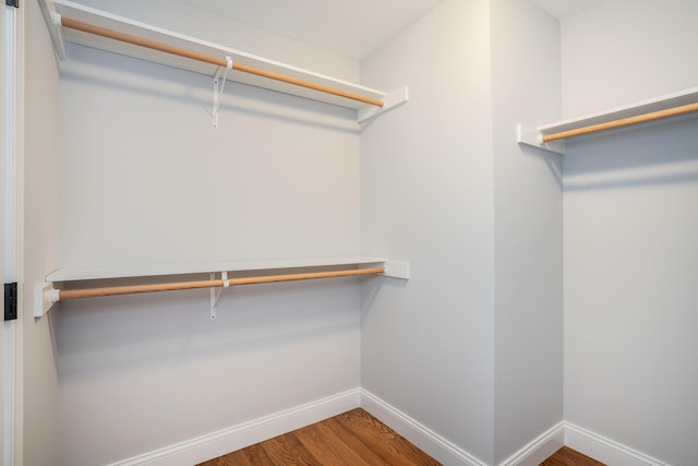 spacious closet with hardwood / wood-style floors