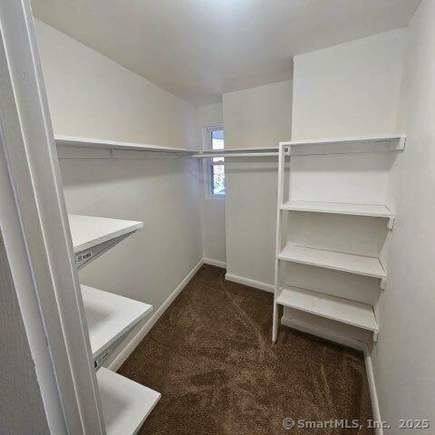 walk in closet with dark carpet