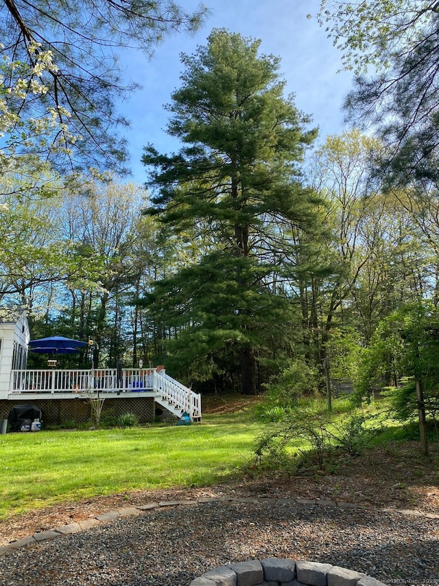 view of yard featuring a deck