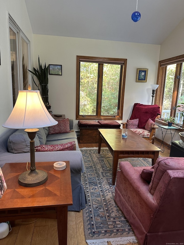 living room with lofted ceiling, hardwood / wood-style floors, and a wealth of natural light