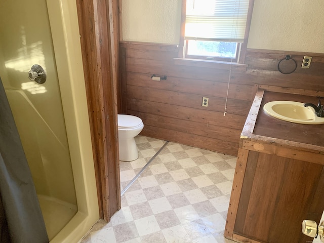 bathroom with vanity, toilet, and wood walls