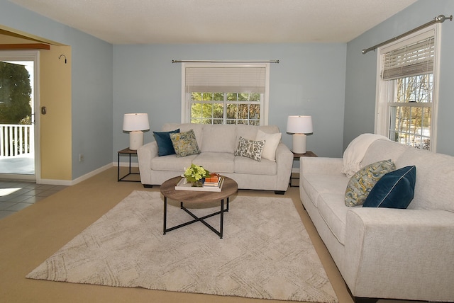 living room featuring baseboards and a wealth of natural light