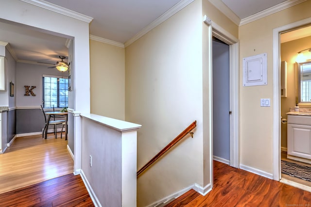 hall with crown molding and hardwood / wood-style floors