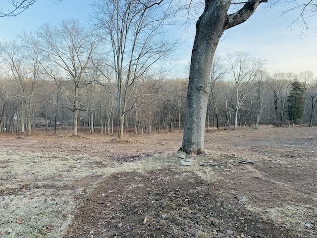 view of landscape