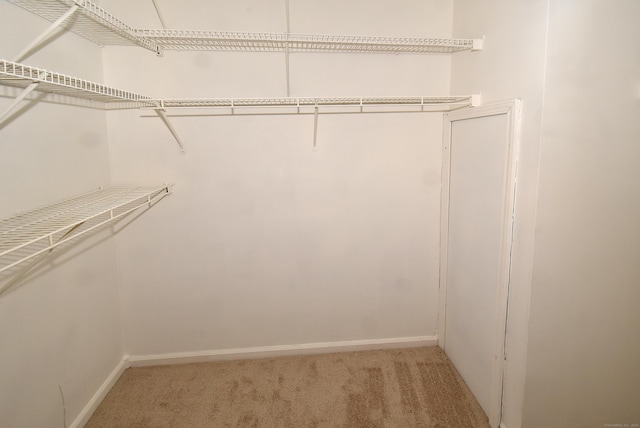 spacious closet with carpet floors