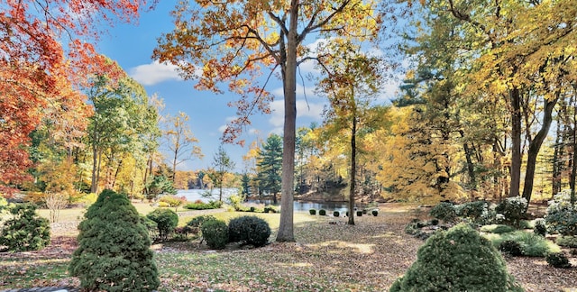 view of yard featuring a water view