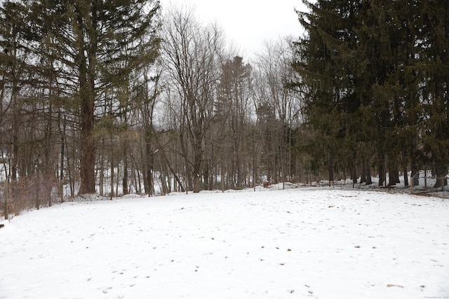 view of yard layered in snow