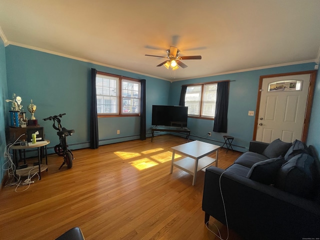 living room featuring crown molding, ceiling fan, and light hardwood / wood-style floors