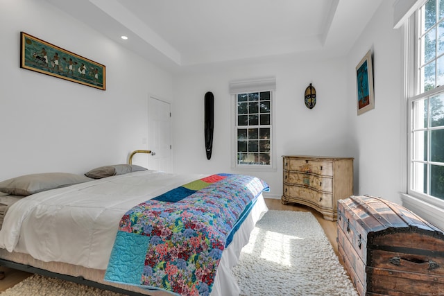 bedroom featuring a tray ceiling and wood finished floors