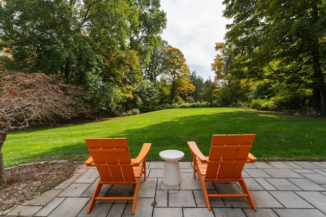 view of yard featuring a patio area