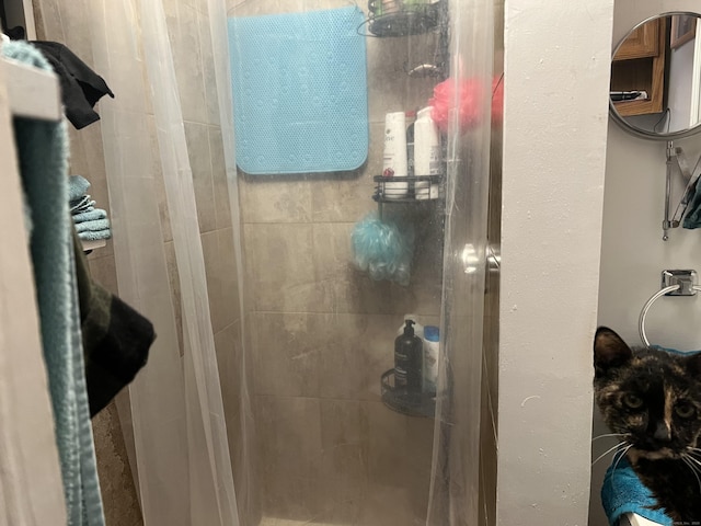 full bathroom featuring a shower stall