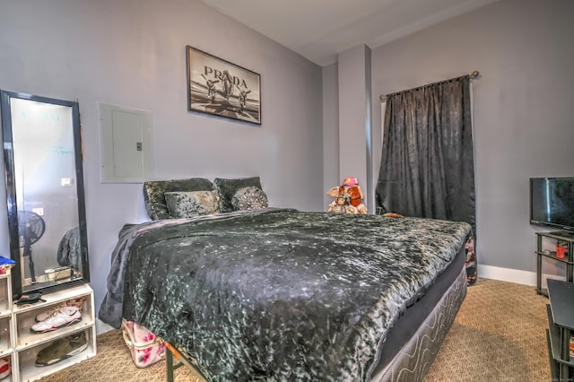 bedroom featuring electric panel and carpet floors