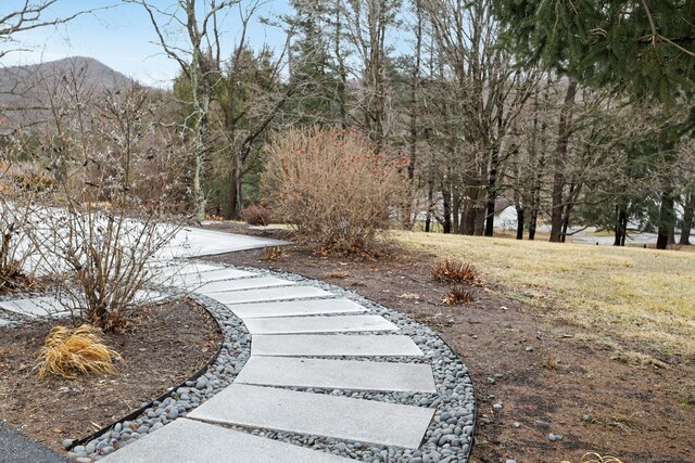 view of yard featuring a mountain view