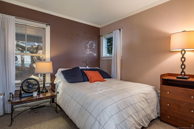 bedroom featuring crown molding and carpet