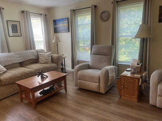 living room featuring a healthy amount of sunlight and wood-type flooring