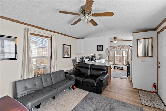 living room with crown molding, light hardwood / wood-style floors, vaulted ceiling, and a textured ceiling