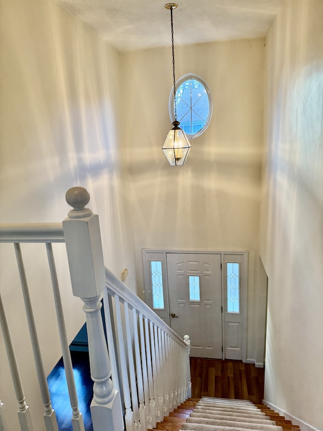 entryway featuring wood-type flooring and a high ceiling