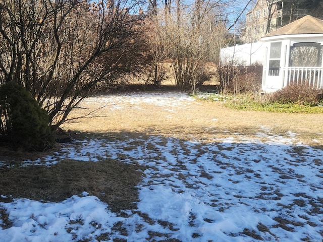 view of yard covered in snow