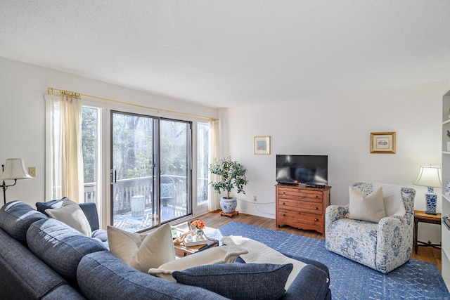 living room featuring hardwood / wood-style flooring and a textured ceiling