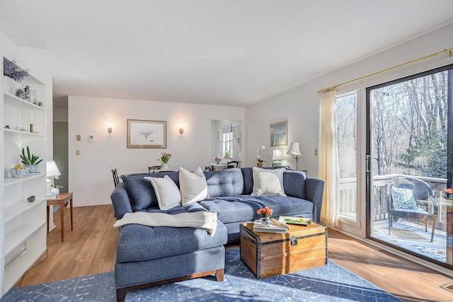 living room with built in features and light hardwood / wood-style floors