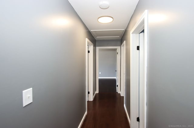 corridor with dark wood-type flooring