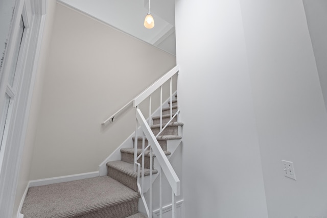 stairway with carpet flooring