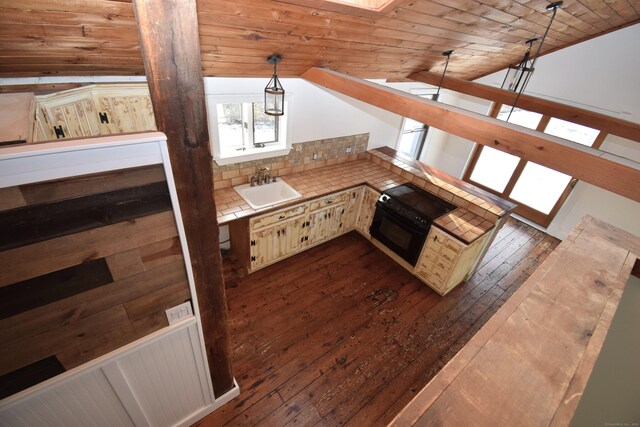 34 Lyme St, Old Lyme, CT 06371 - kitchen with black oven, a sink, vaulted ceiling, wooden ceiling, and dark wood-style floors