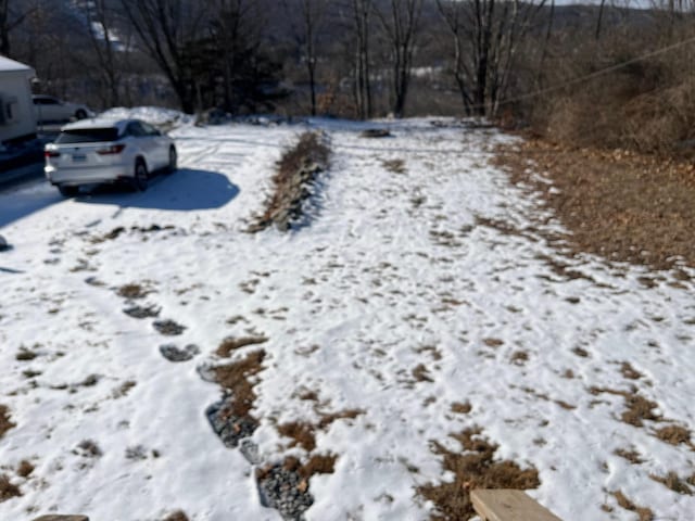 view of yard covered in snow