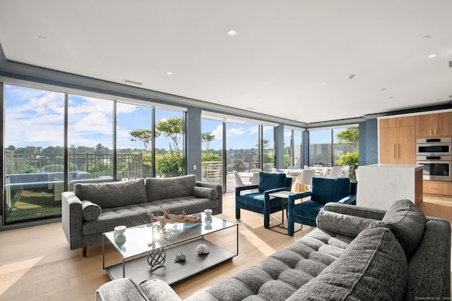 living room featuring expansive windows and light hardwood / wood-style floors