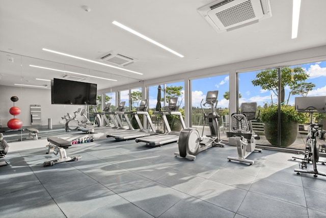 gym featuring a wealth of natural light