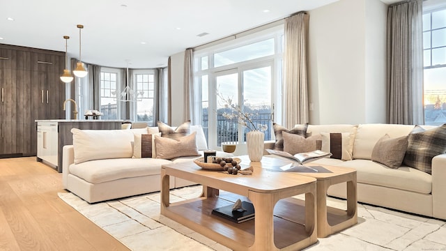 living room with light hardwood / wood-style flooring