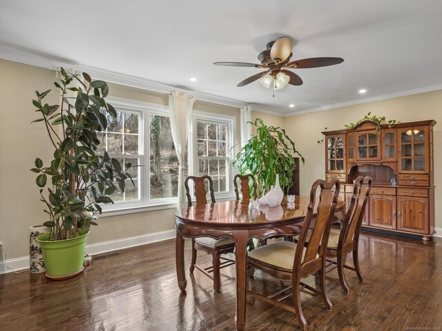 dining space with ornamental molding, ceiling fan, and dark hardwood / wood-style flooring