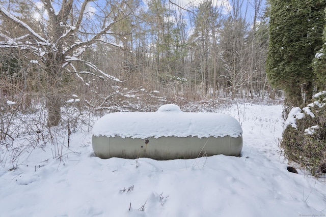 view of yard covered in snow