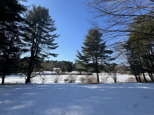 view of yard covered in snow