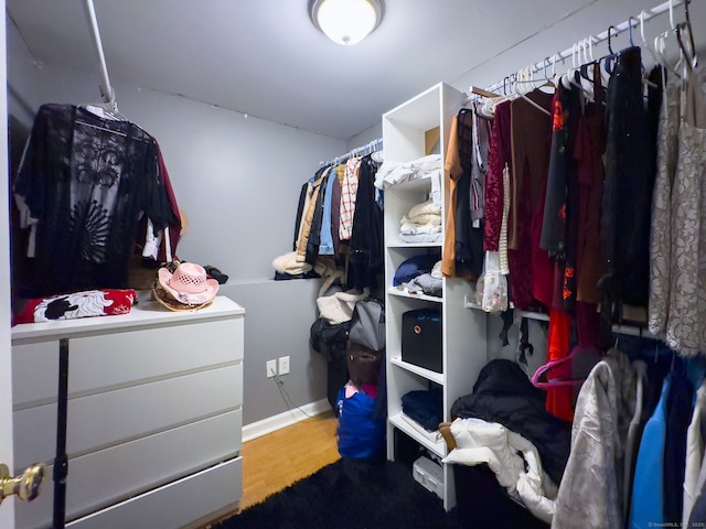 spacious closet featuring hardwood / wood-style flooring