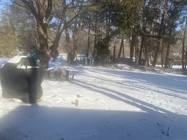 view of yard covered in snow