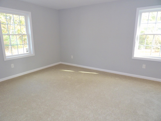 unfurnished room featuring plenty of natural light and carpet flooring