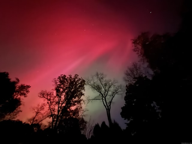 view of nature at dusk