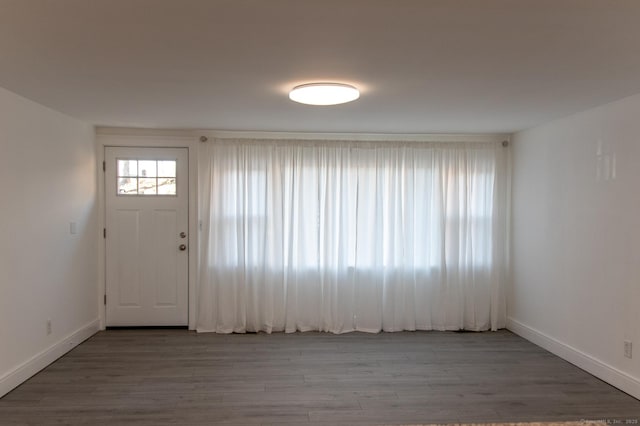 entrance foyer with hardwood / wood-style flooring