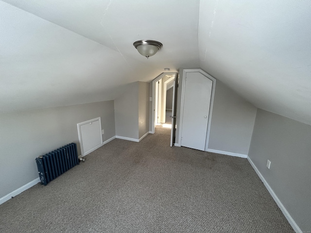 additional living space with lofted ceiling and carpet