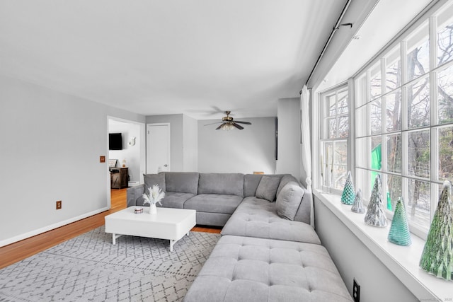 living room with plenty of natural light, ceiling fan, and light wood-type flooring