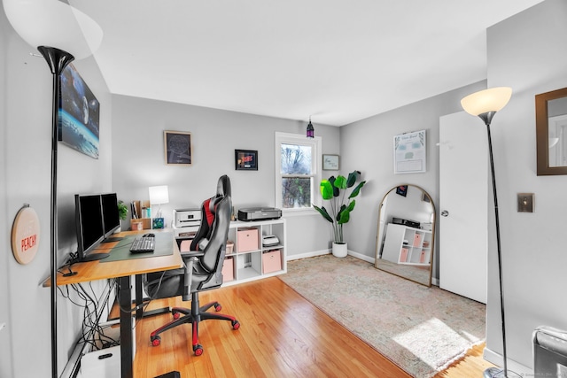 office featuring wood-type flooring