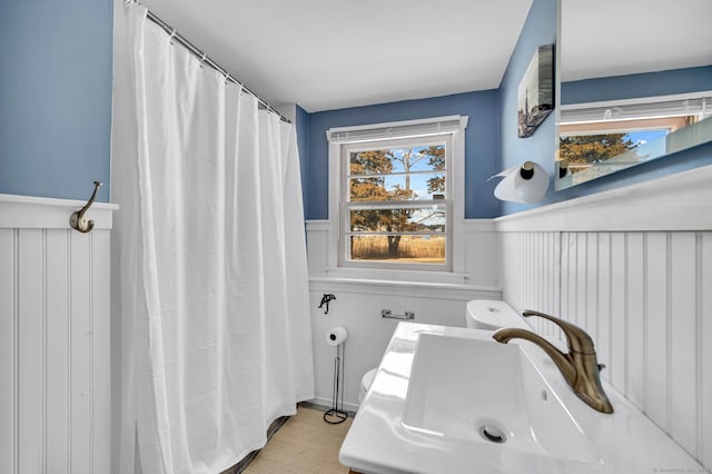 bathroom featuring wood-type flooring and sink