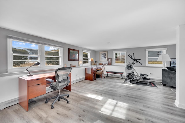 office featuring light wood-type flooring