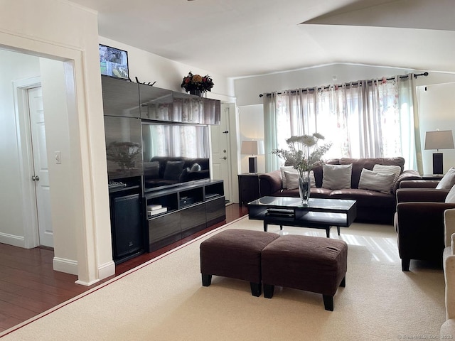 living room featuring dark wood-type flooring